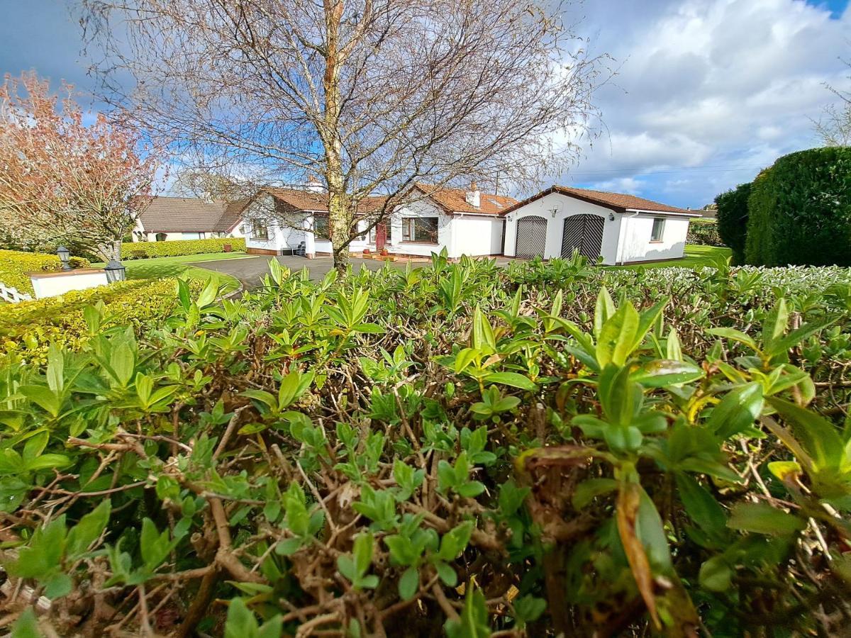 Lecale Bliss Bed and Breakfast Downpatrick Εξωτερικό φωτογραφία
